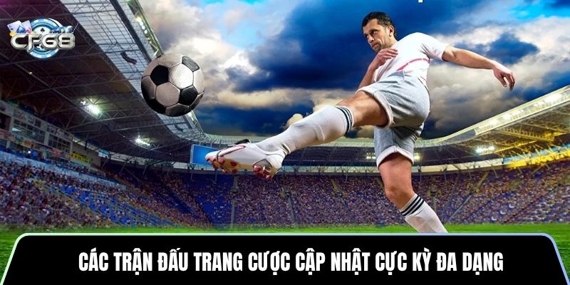 Các trận đấu trang cược cập nhật cực kỳ đa dạng